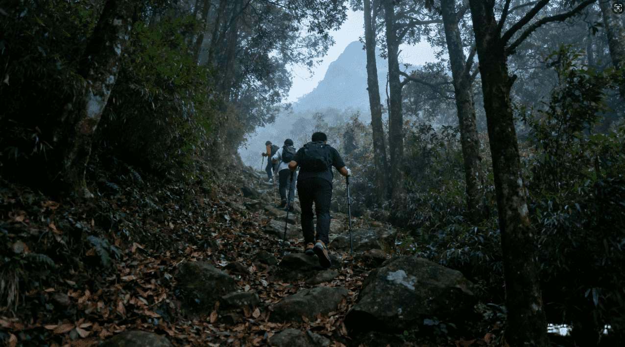 网络连接梯子,网络连接梯子安全使用的注意事项与防护措施